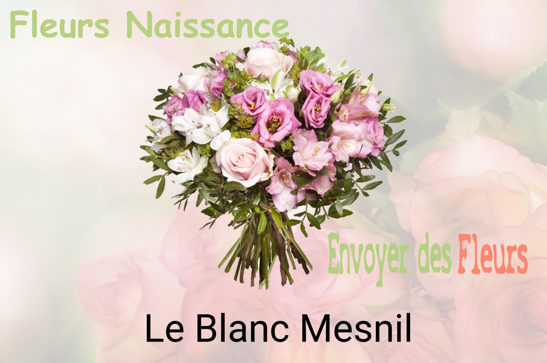 Bouquet de fleurs de naissance livré à Le Blanc-Mesnil