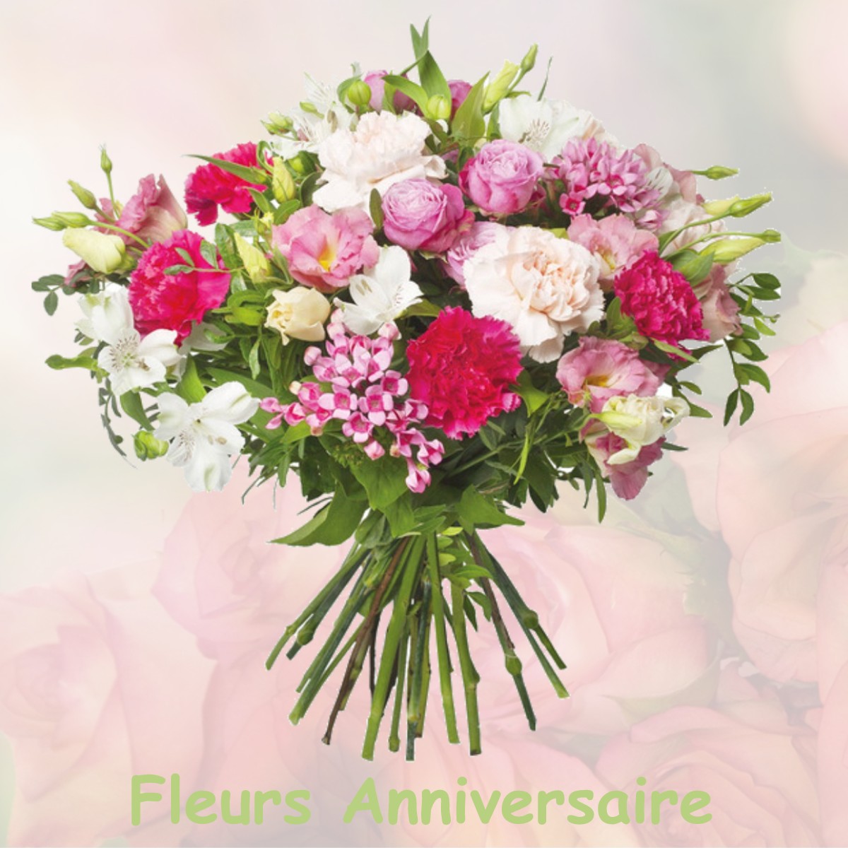 fleurs anniversaire LE-BLANC-MESNIL
