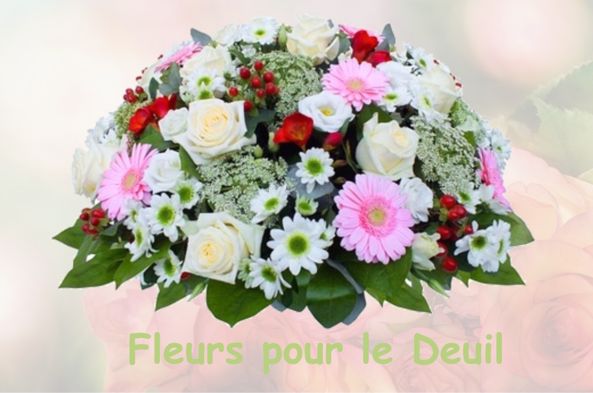 fleurs deuil LE-BLANC-MESNIL