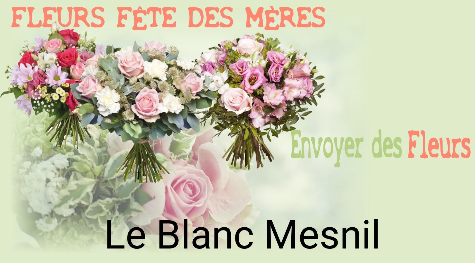 Bouquet de Fête des Mères livré à Le Blanc-Mesnil